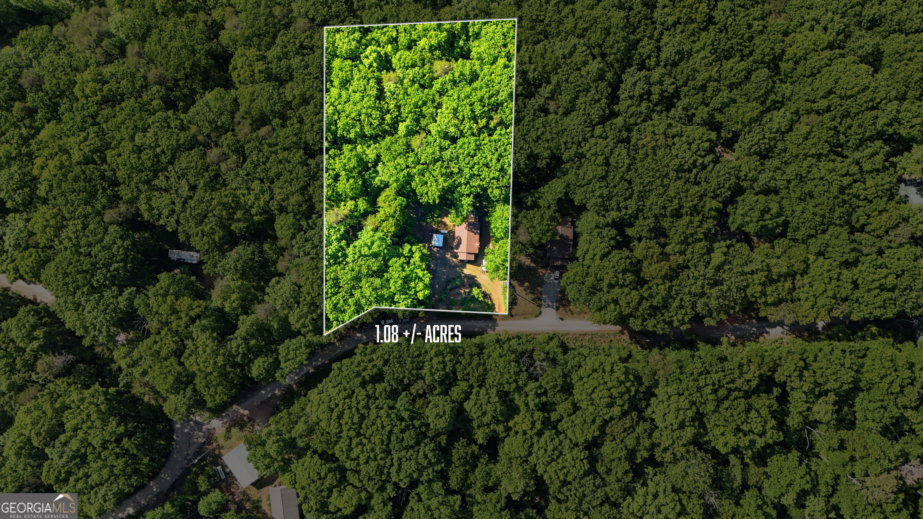 55 Deavours Lane Cleveland, GA 30528 - Photo 6 of 27