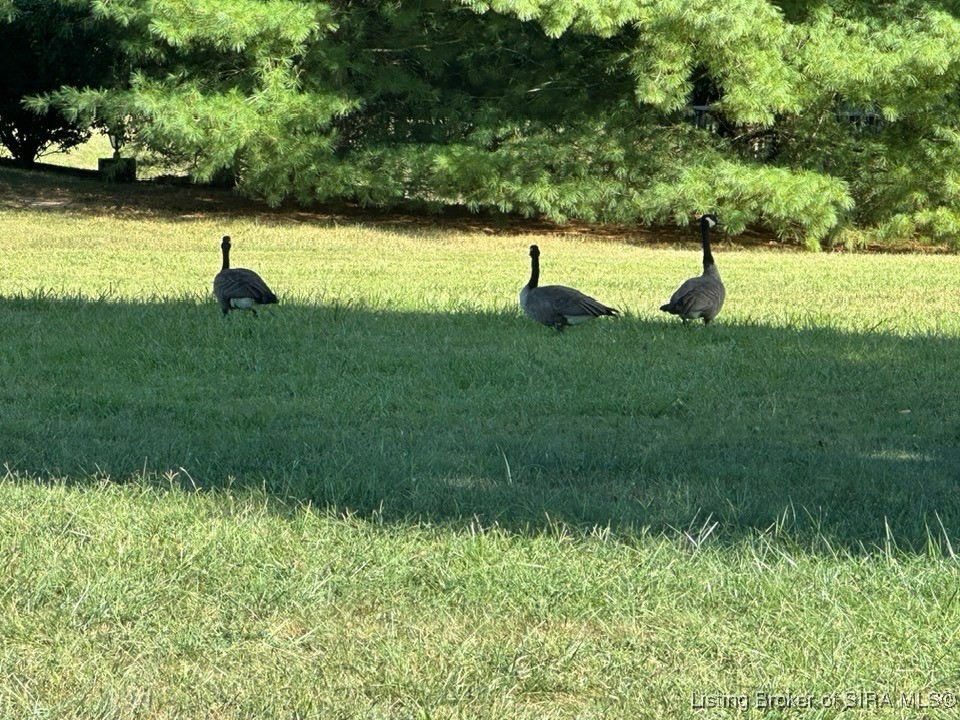 2207 West Robin Road Scottsburg, IN 47170 - Photo 24 of 80