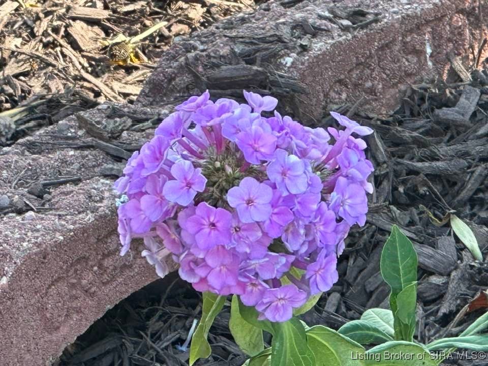 2207 West Robin Road Scottsburg, IN 47170 - Photo 26 of 80