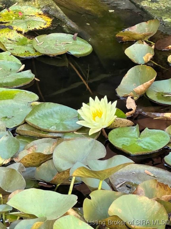 2207 West Robin Road Scottsburg, IN 47170 - Photo 62 of 80