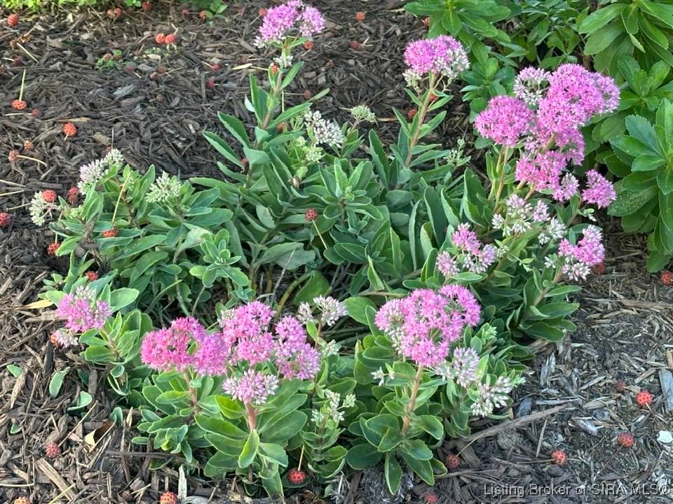 2207 West Robin Road Scottsburg, IN 47170 - Photo 64 of 80