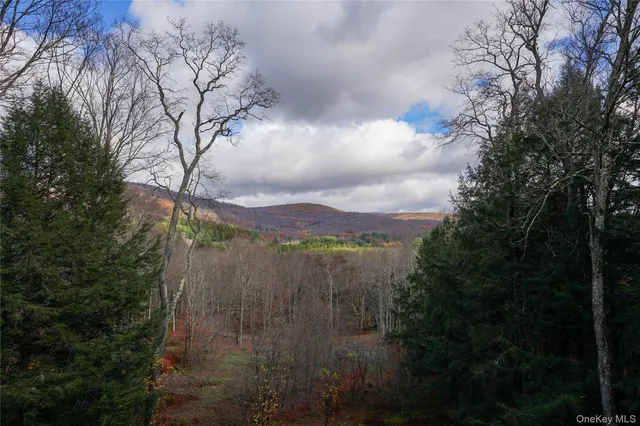 $835,000 | 149 Craigie Clair Road, Livingston Manor, NY 12758