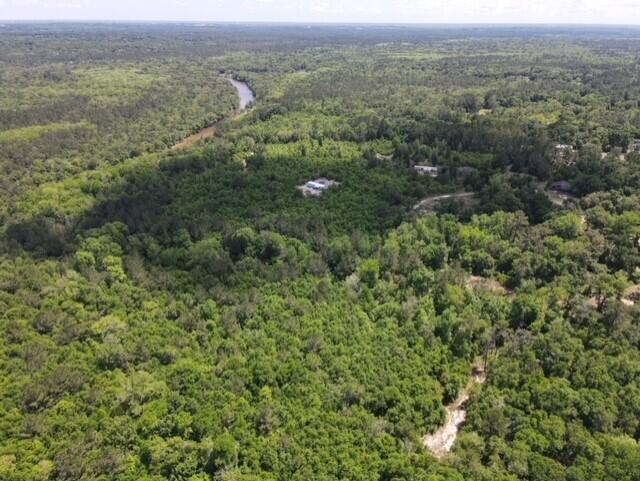 Tbd 37-ac Old River Road Baker, FL 32531 - Photo 26 of 41 an aerial view of forest