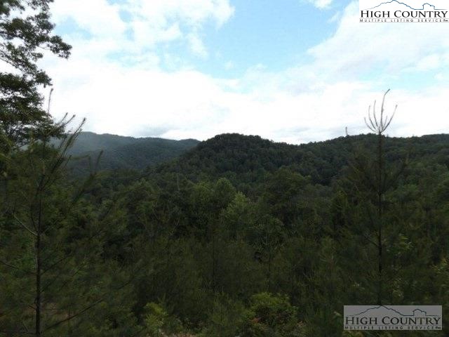 7 Wagon Ridge Road Ferguson, NC 28624 - Photo 1 of 5 a view of a field