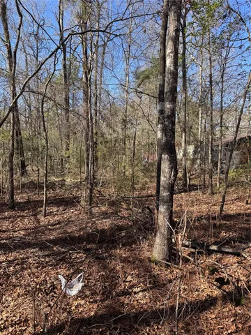 $10,000 | Tbd Jaycrest, Livingston, TX 77351