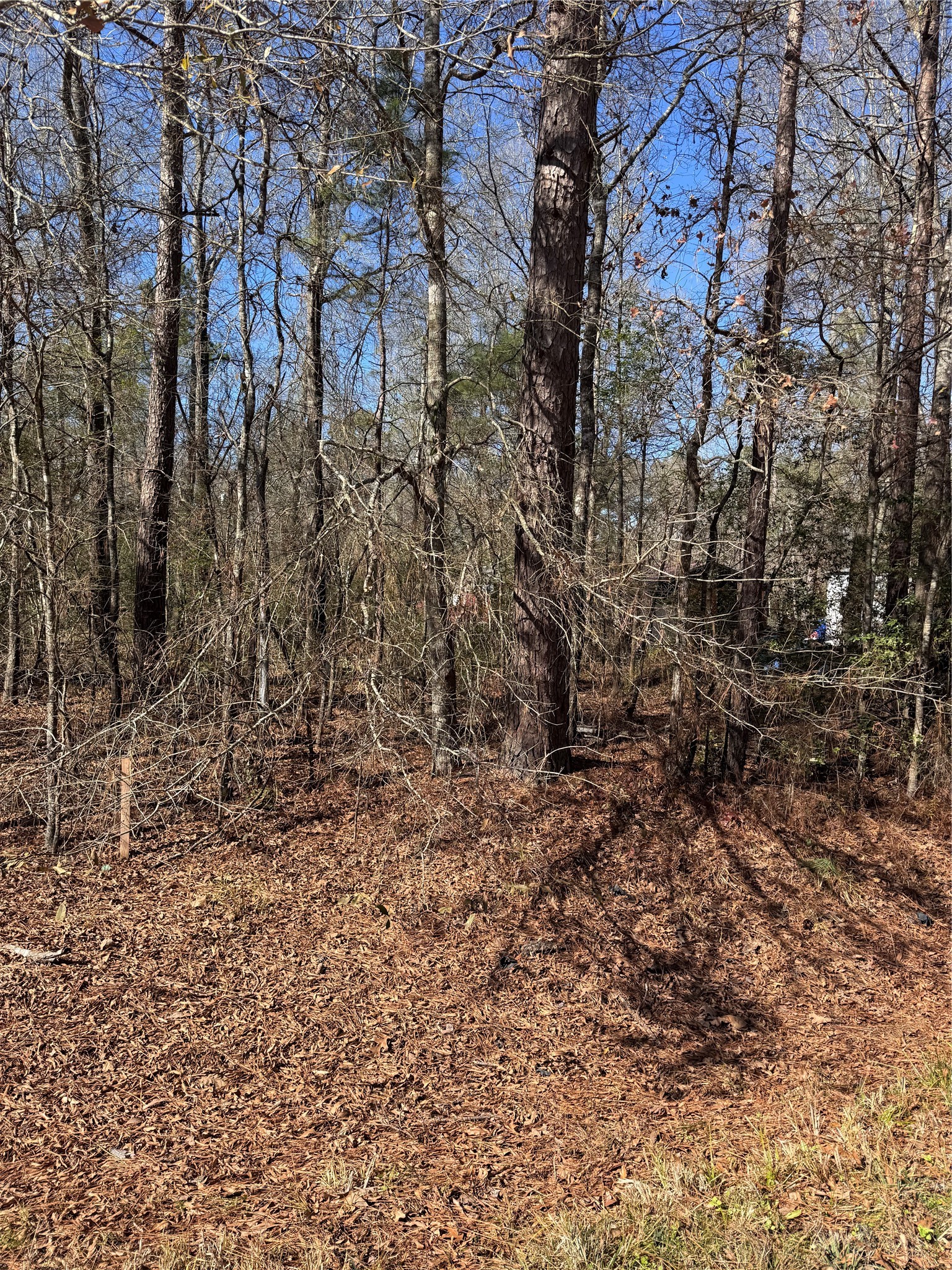 Tbd Jaycrest Livingston, TX 77351 - Photo 2 of 13