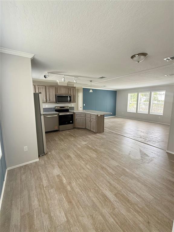 37743 Geiger Road Zephyrhills, FL 33542 - Photo 6 of 21 Gallery Image 6