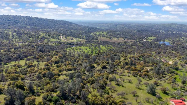 a view of a park with large trees