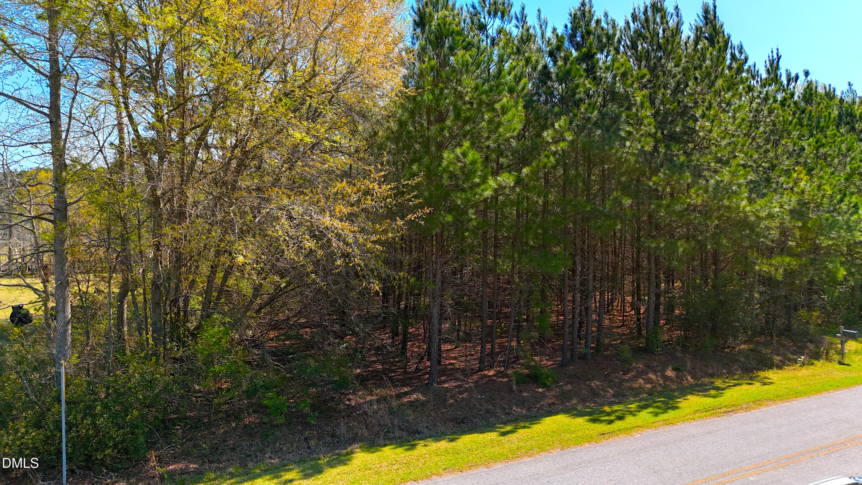 0 Ogburn Road Smithfield, NC 27577 - Photo 5 of 7 a view of swimming pool with a yard