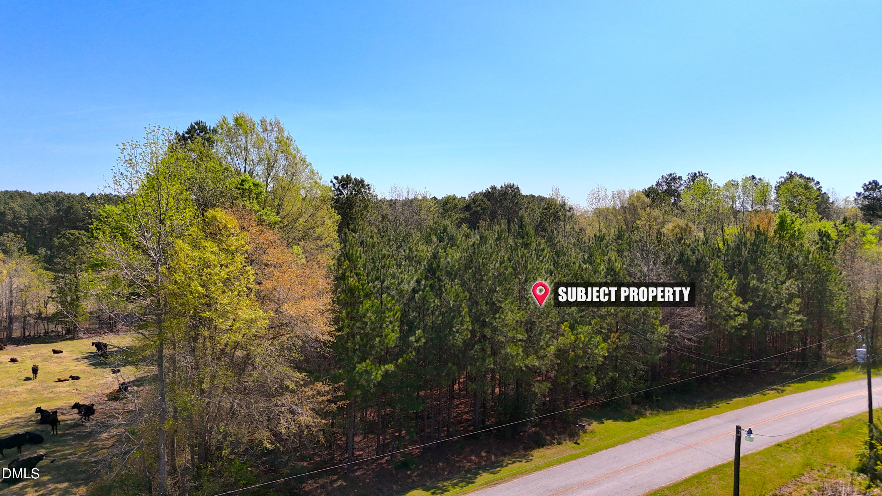 0 Ogburn Road Smithfield, NC 27577 - Photo 6 of 7 a view of a street