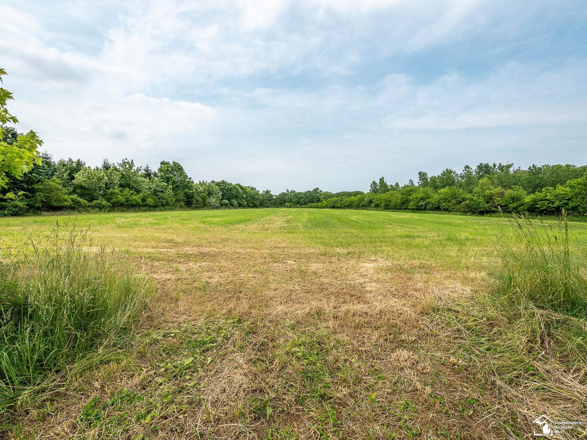 13999 Rightmire Road Dundee, MI 48131 - Photo 38 of 41
