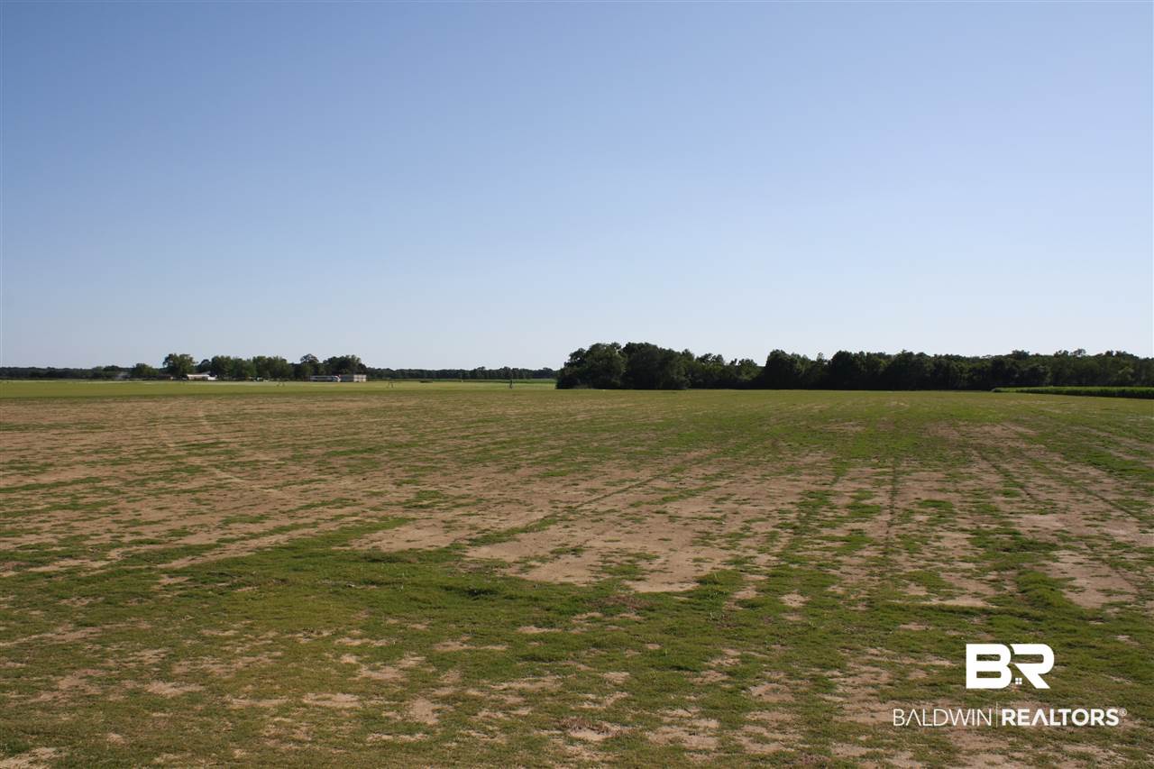 0 Vernant Park Road Foley, AL 36535 - Photo 13 of 20