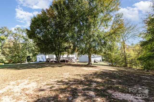 a view of a yard with a tree