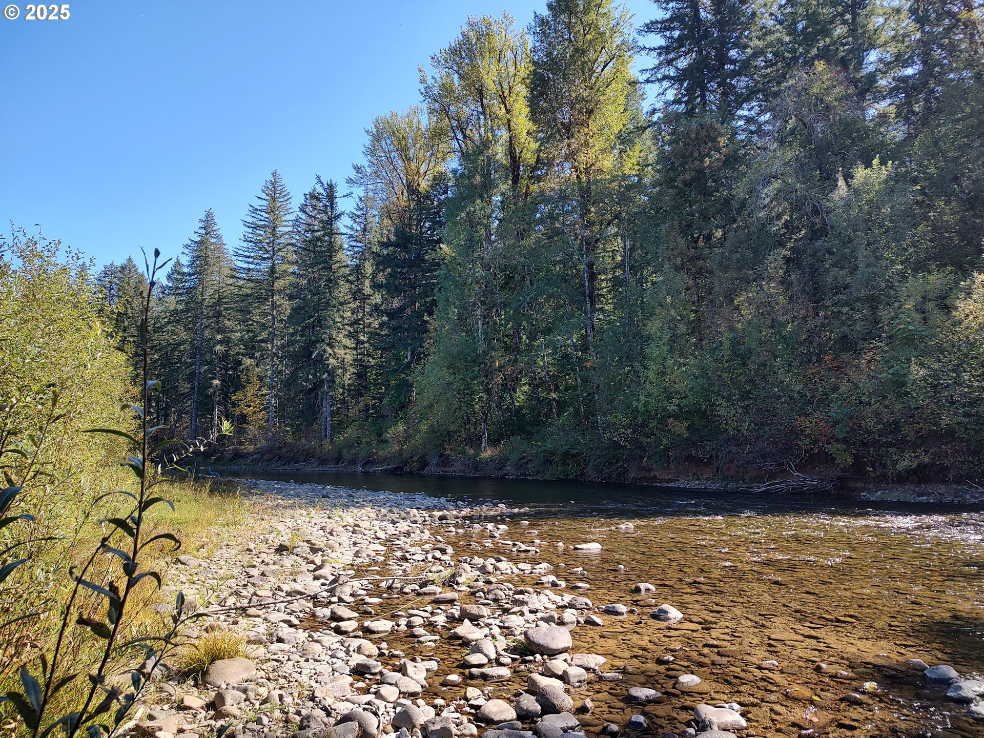 a view of outdoor space with trees