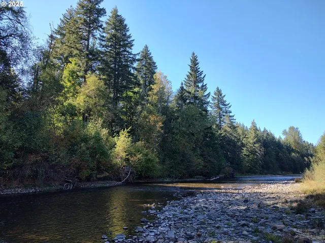 a view of a lake with trees