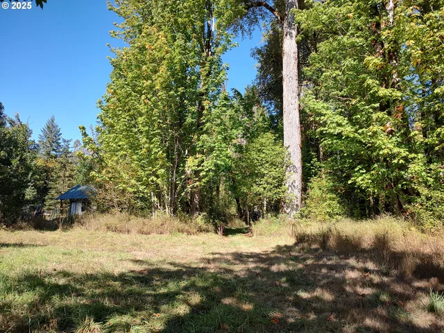 a view of a yard covered with snow in between of two trees