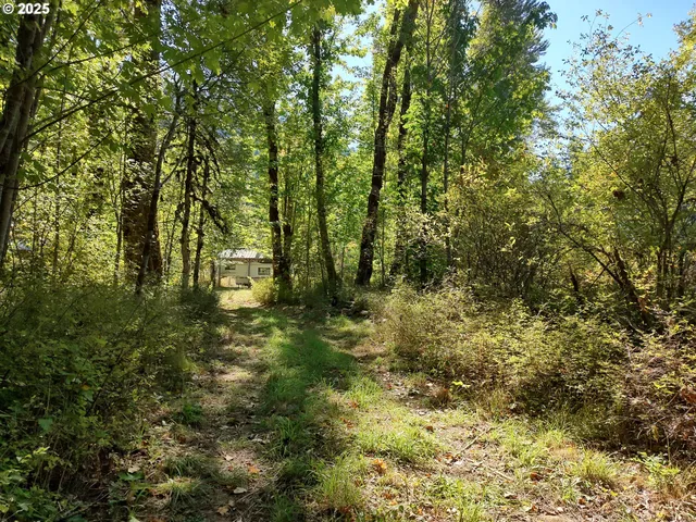 a view of outdoor space and trees