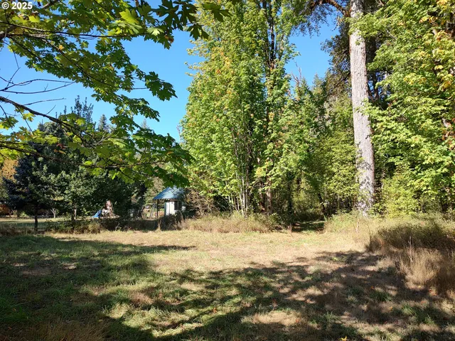 a view of yard covered with trees