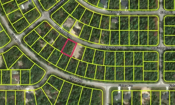 $22,000 | Fisher Course, Ocklawaha, FL 32179