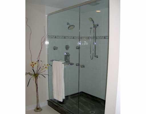 545 Trotwood Ridge Road Upper St. Clair, PA 15241 - Photo 7 of 8 Master Bath/Spa.