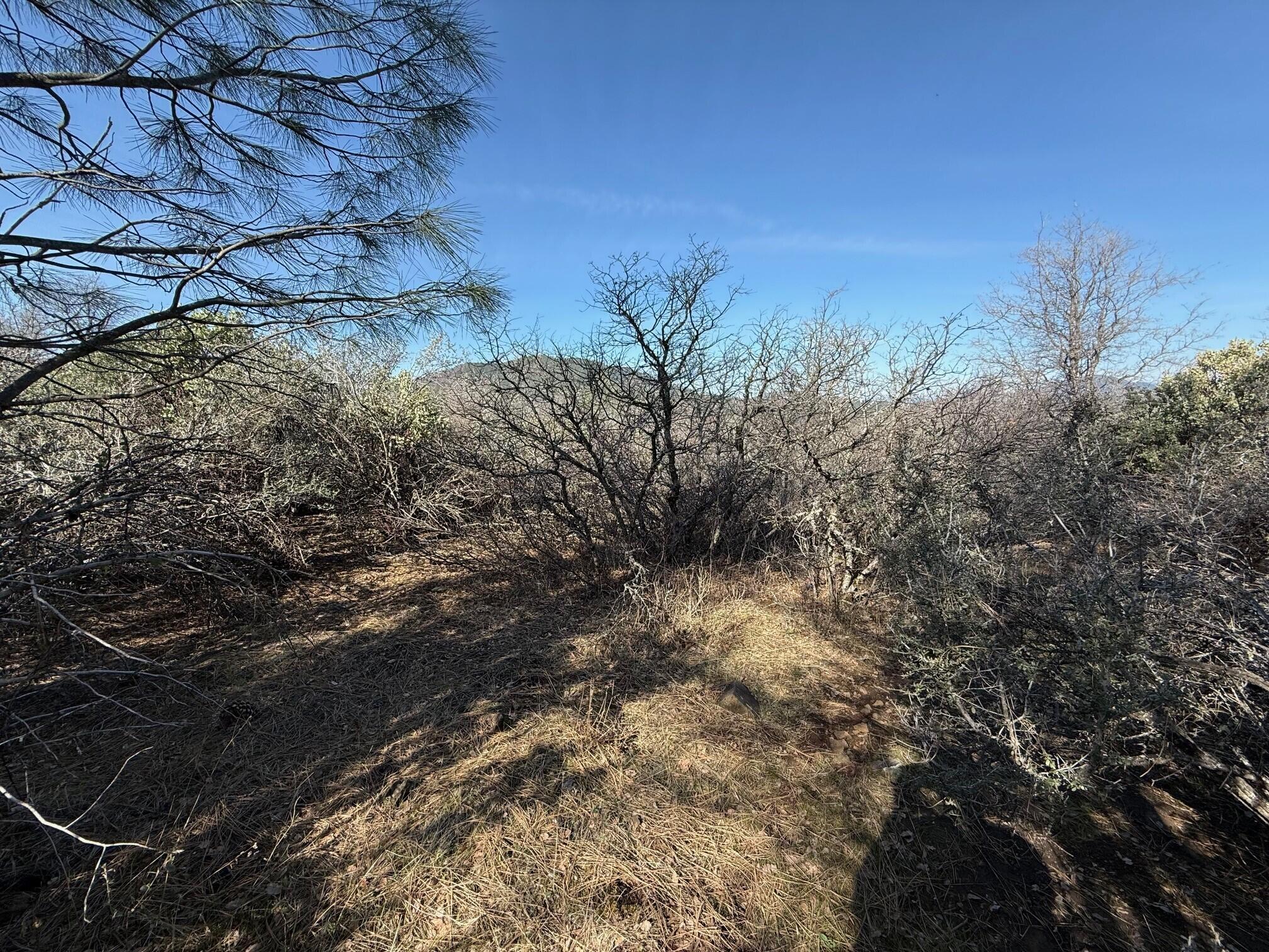 Ranch Road Round Mountain, CA 96084 - Photo 11 of 13 a view of a yard