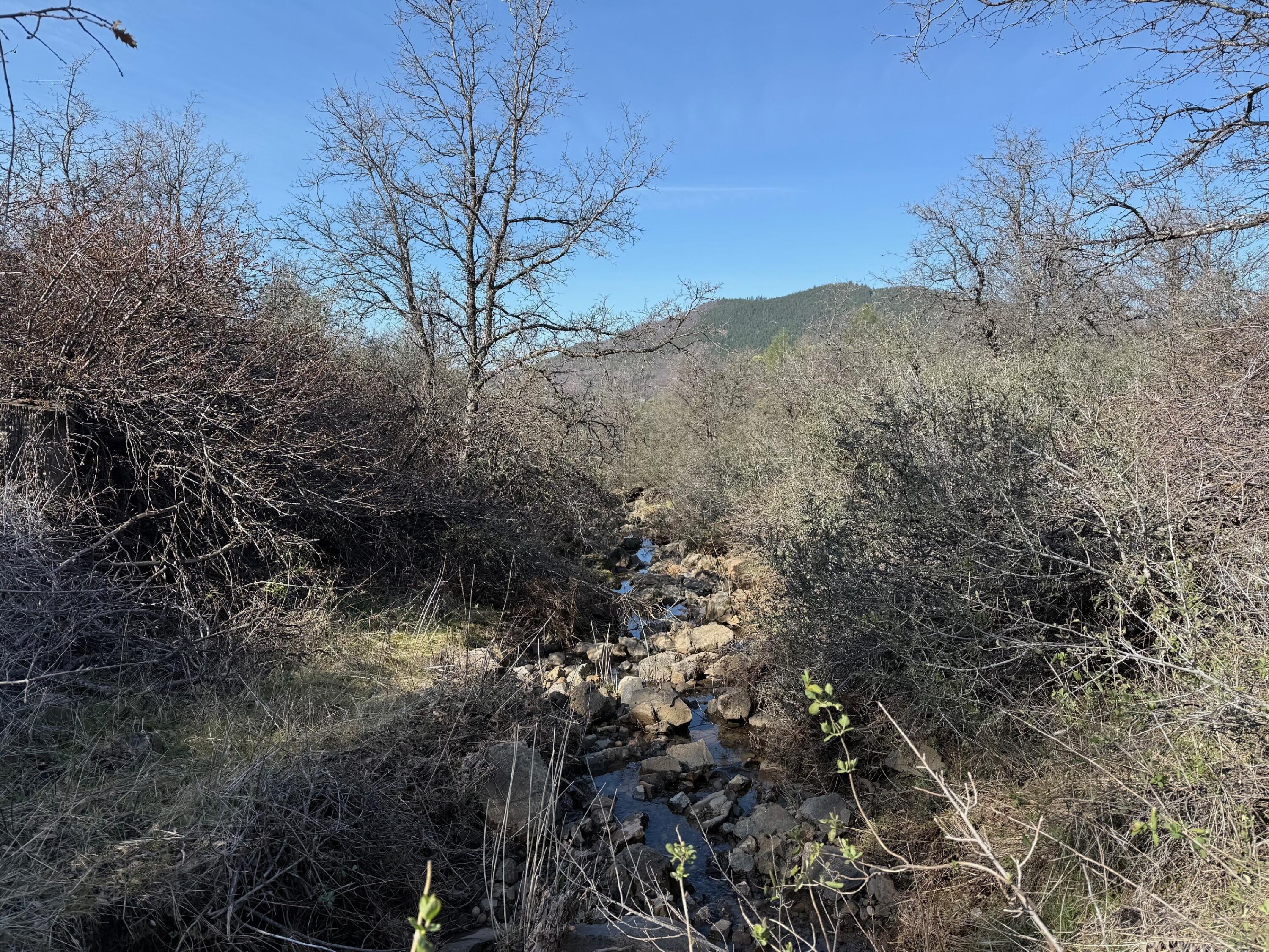 Ranch Road Round Mountain, CA 96084 - Photo 12 of 13 a view of a yard with a tree