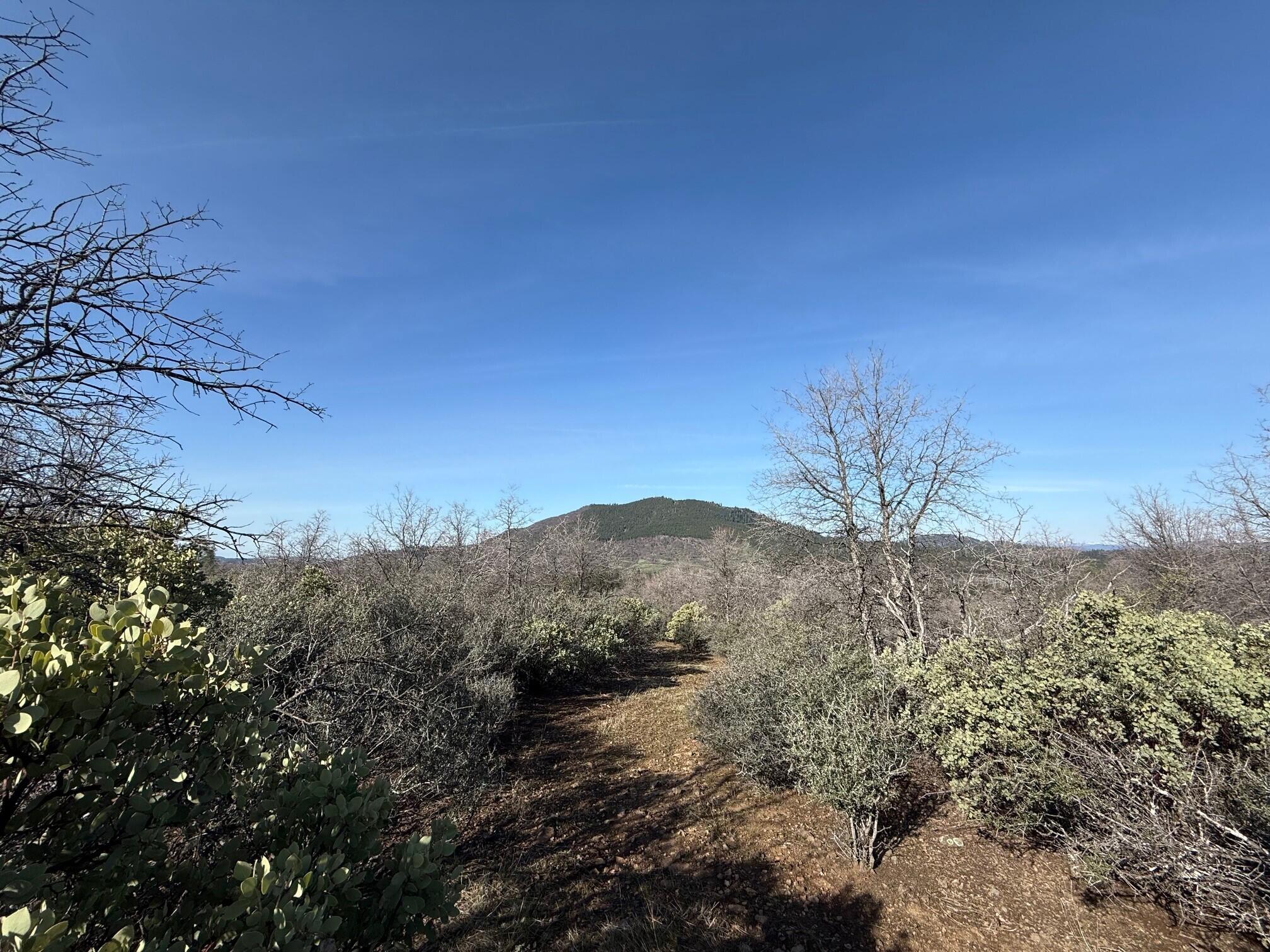 Ranch Road Round Mountain, CA 96084 - Photo 7 of 13 a view of a dry yard