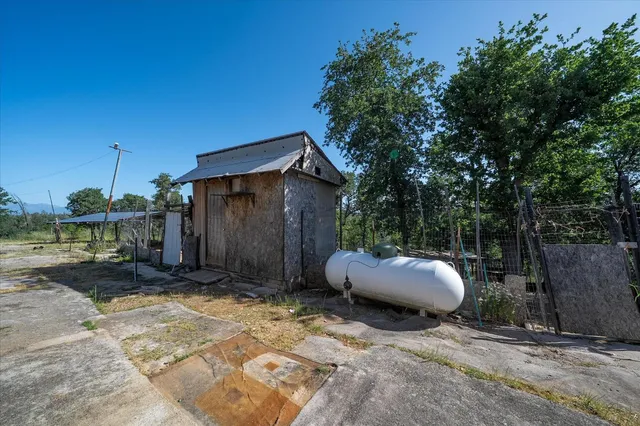 a view of a backyard with potted plants