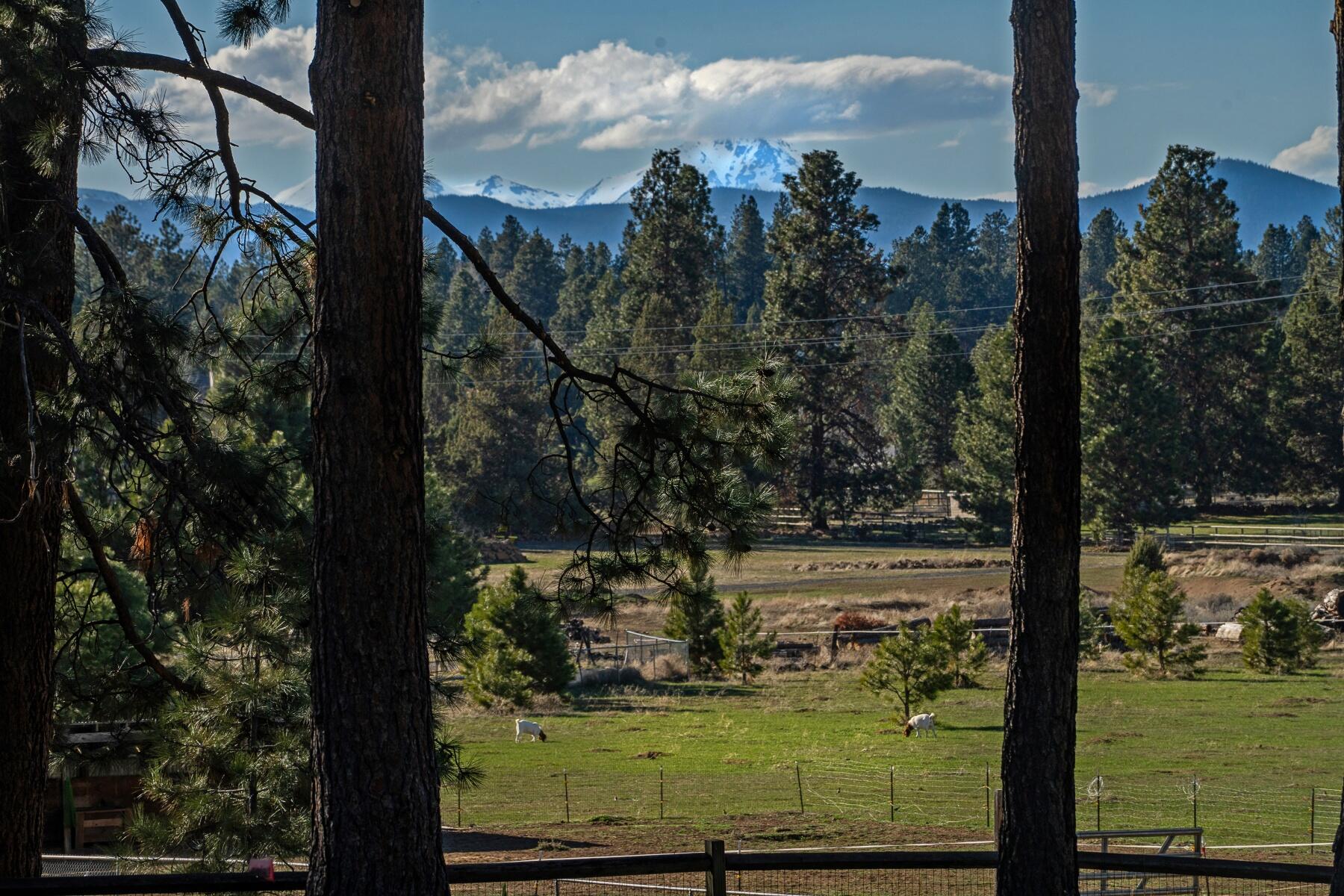 60405 Tekampe Road Bend, OR 97702 - Photo 5 of 51 batch_T05