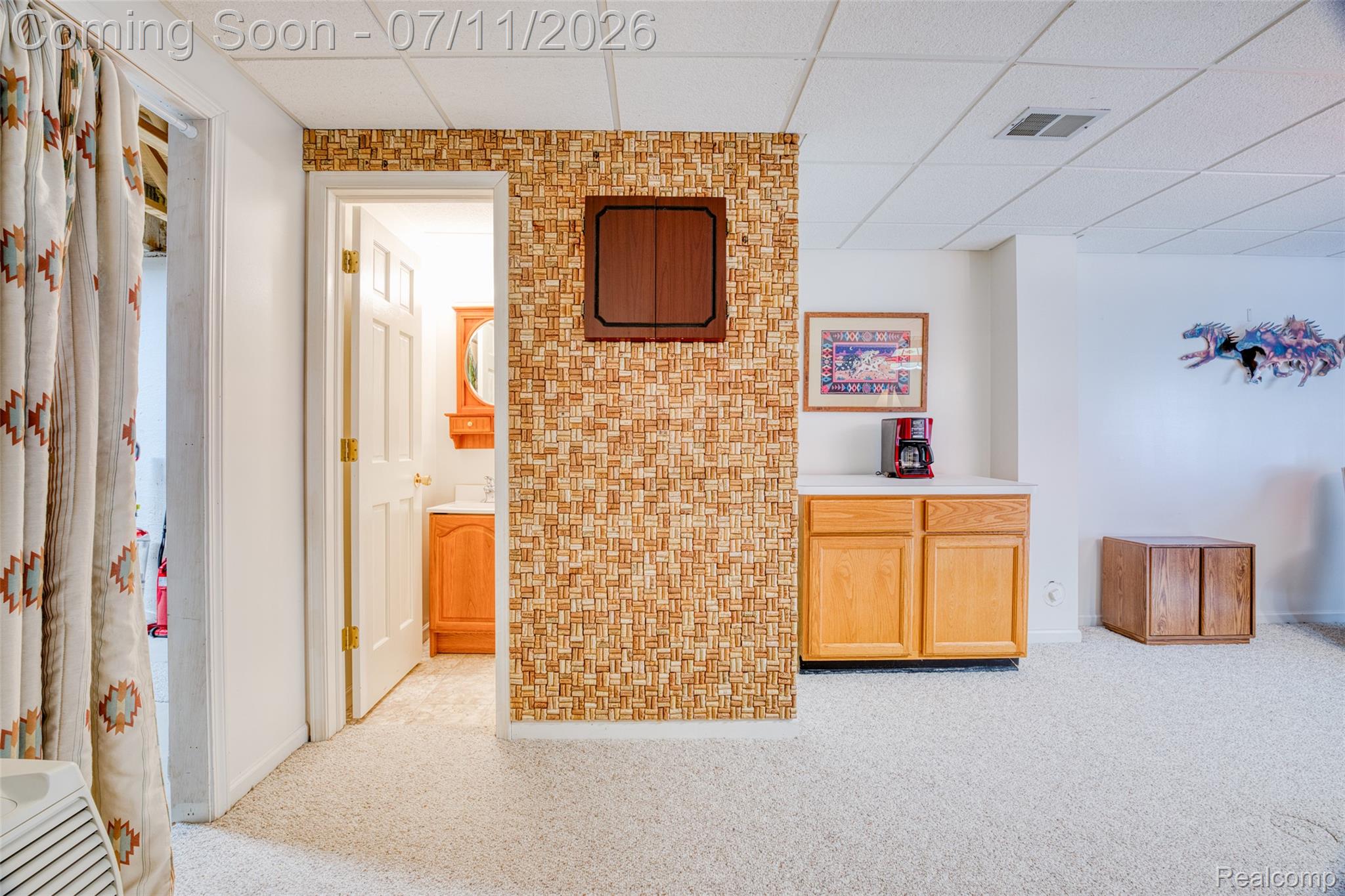 21790 River Ridge Trail Farmington, MI 48335 - Photo 23 of 34 image-29.jpg