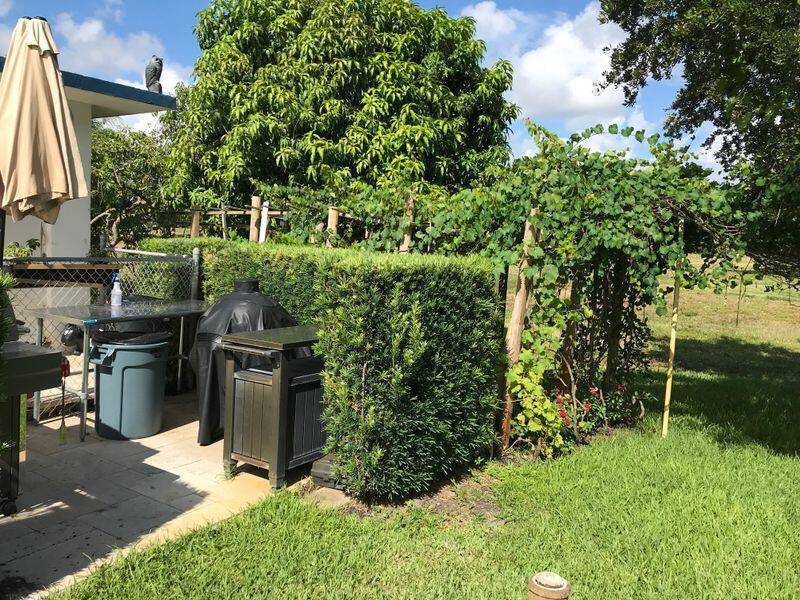 5401 Northwest 2nd Avenue, Unit 319 Boca Raton, FL 33487 - Photo 17 of 20 Garden Grapes