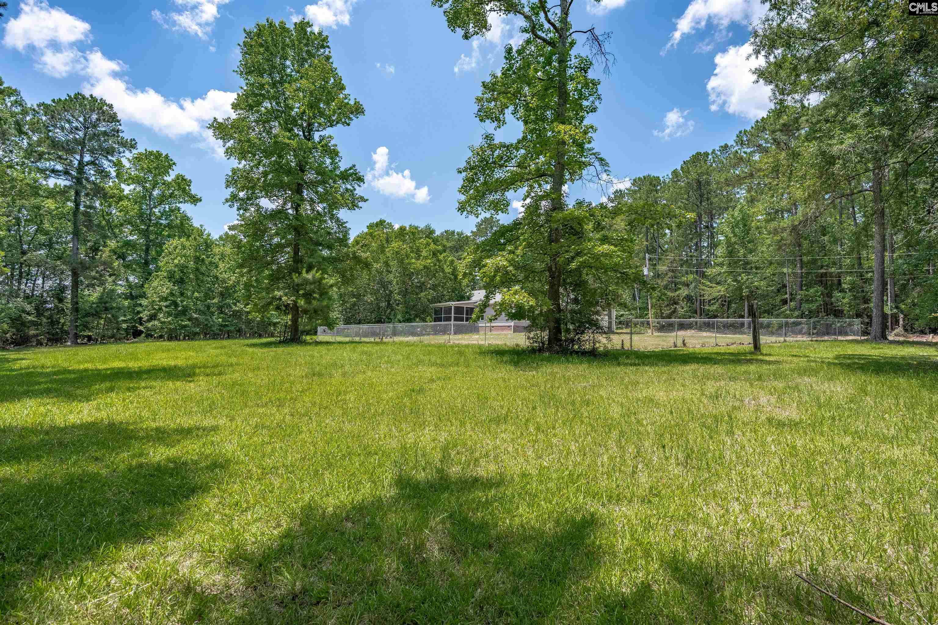 131 Mule Trail Gilbert, SC 29054 - Photo 60 of 65