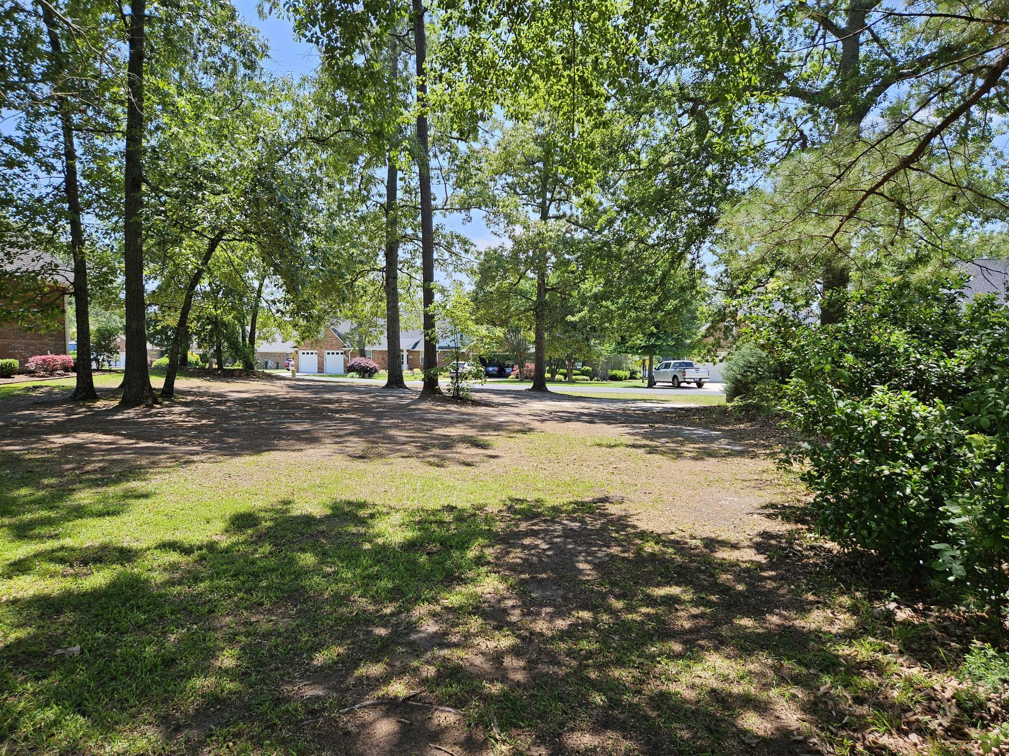 234 Ridge Lake Drive Manning, SC 29102 - Photo 5 of 26 VIEW LOOKING TOWARD THE STREET