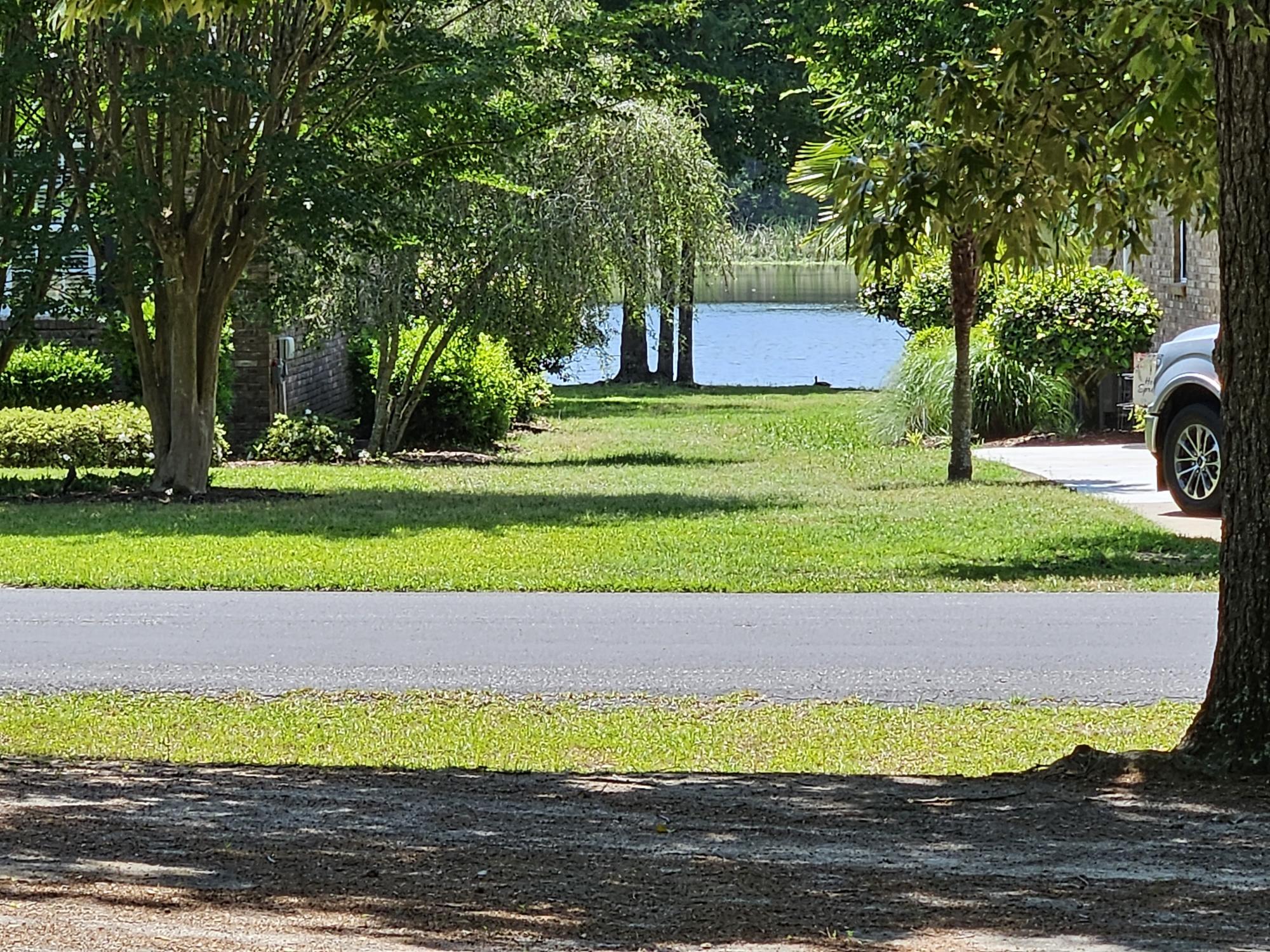 234 Ridge Lake Drive Manning, SC 29102 - Photo 6 of 26 LAKE ARBU ACROSS THE STREET