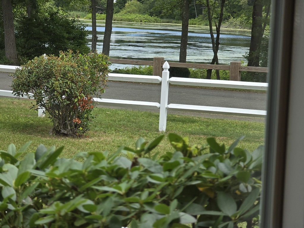 128 Sherwood Road Springfield, MA 01119 - Photo 29 of 39 a view of a garden from a window
