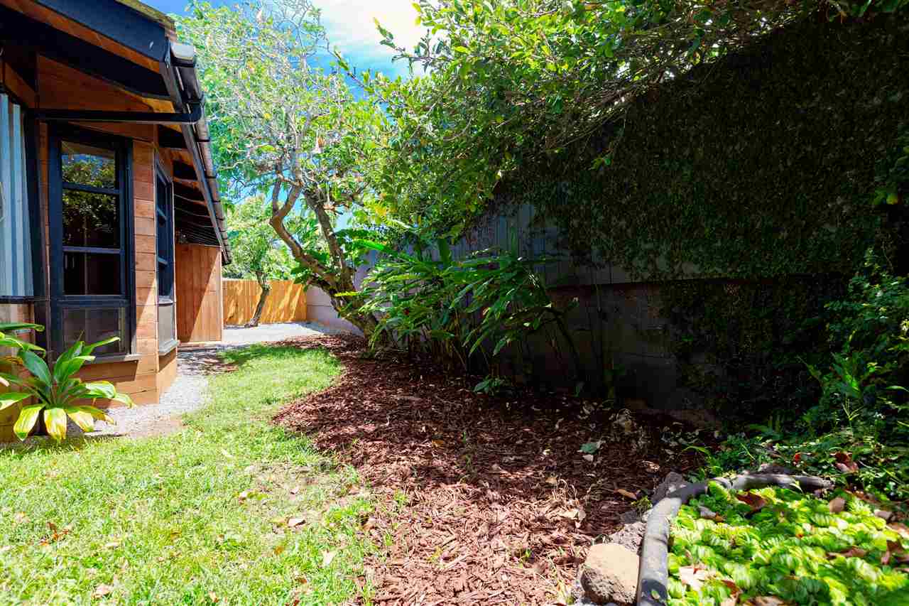 805 Kuulei Street Haiku, HI 96708 - Photo 25 of 28 a view of a backyard with potted plants and large tree