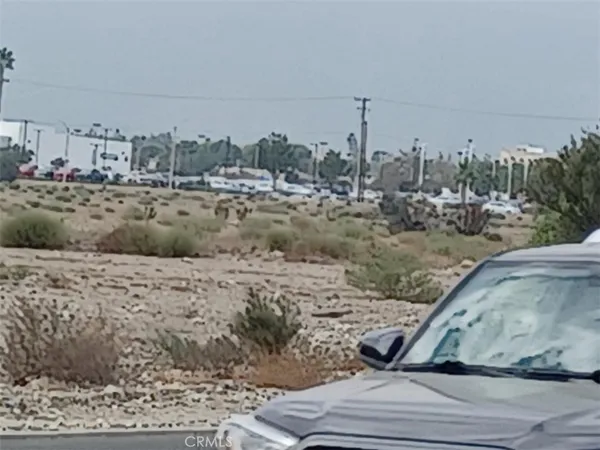 a view of a dry yard with trees