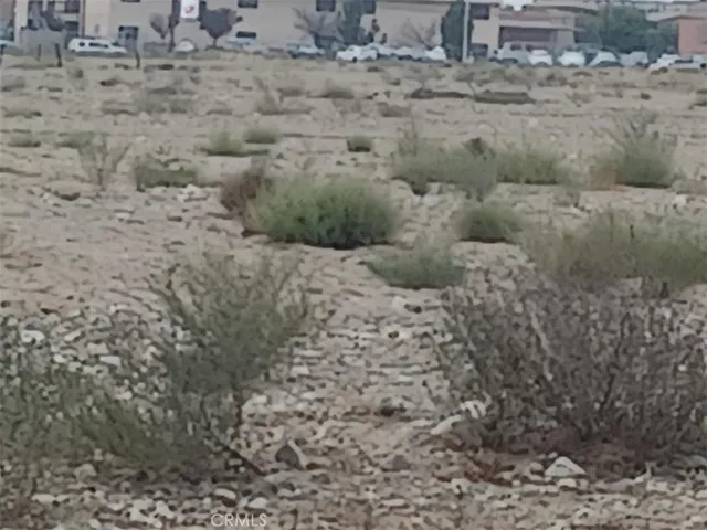 a view of a dry yard