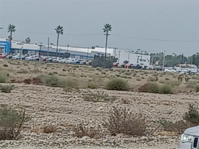 a view of a dry yard