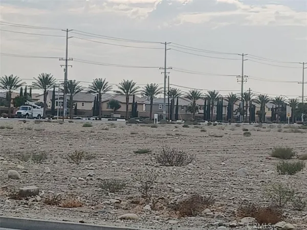 a view of a dry yard covered by trees