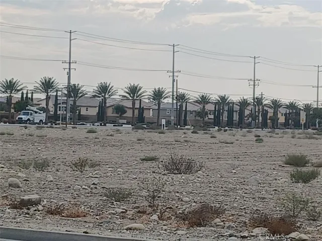 a view of a dry yard covered by trees