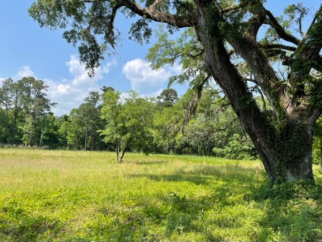 320 Mercantile Road, Unit LOT 1 McClellanville, SC 29458 - Photo 1 of 8 IMG_1778