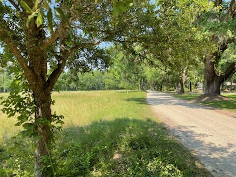 320 Mercantile Road, Unit LOT 1 McClellanville, SC 29458 - Photo 2 of 8 IMG_1774