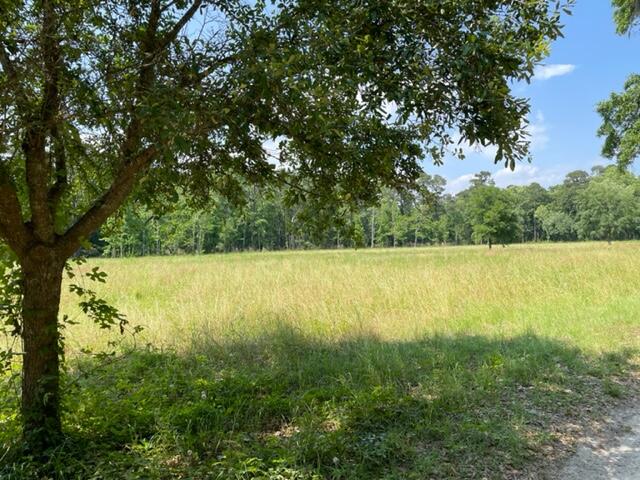 320 Mercantile Road, Unit LOT 1 McClellanville, SC 29458 - Photo 3 of 8 IMG_1775