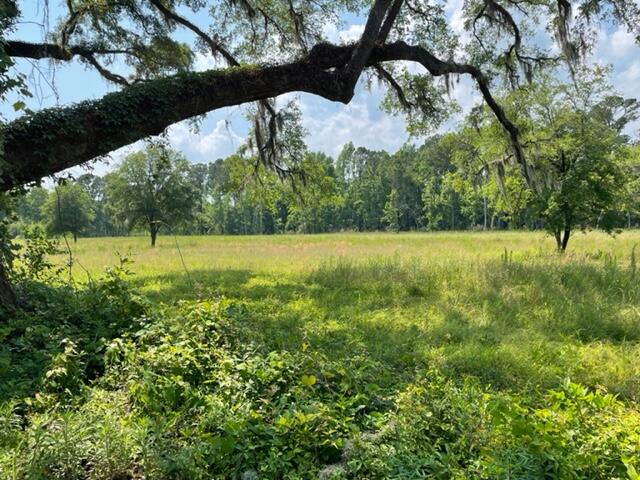 320 Mercantile Road, Unit LOT 1 McClellanville, SC 29458 - Photo 5 of 8 IMG_1786