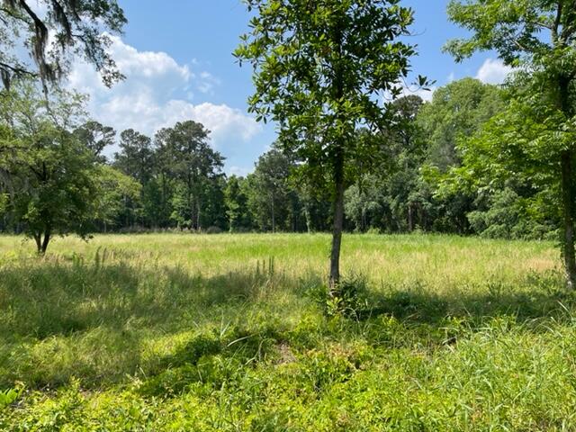 320 Mercantile Road, Unit LOT 1 McClellanville, SC 29458 - Photo 6 of 8 IMG_1787