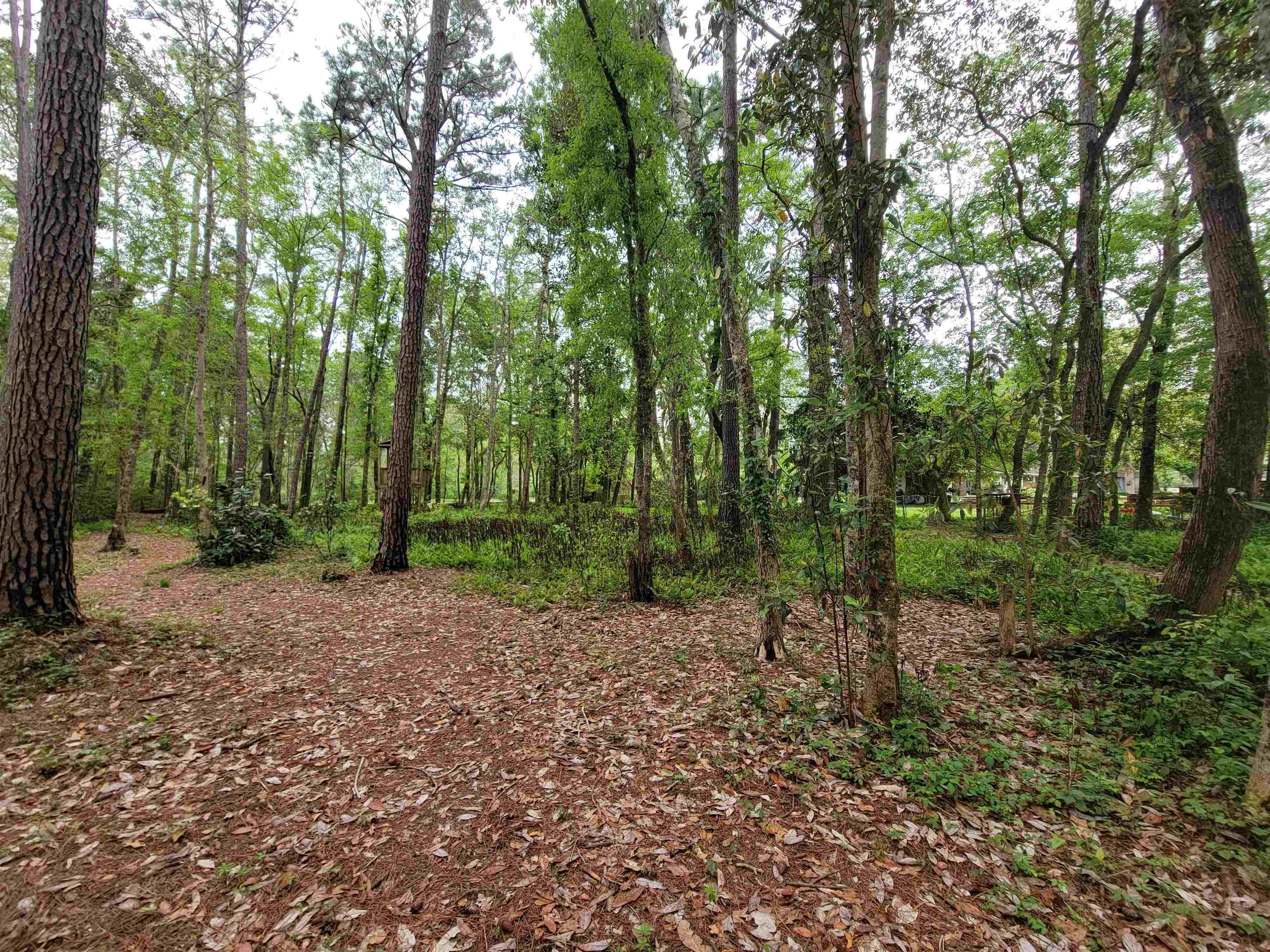 10 County Road Foley, AL 36535 - Photo 10 of 17