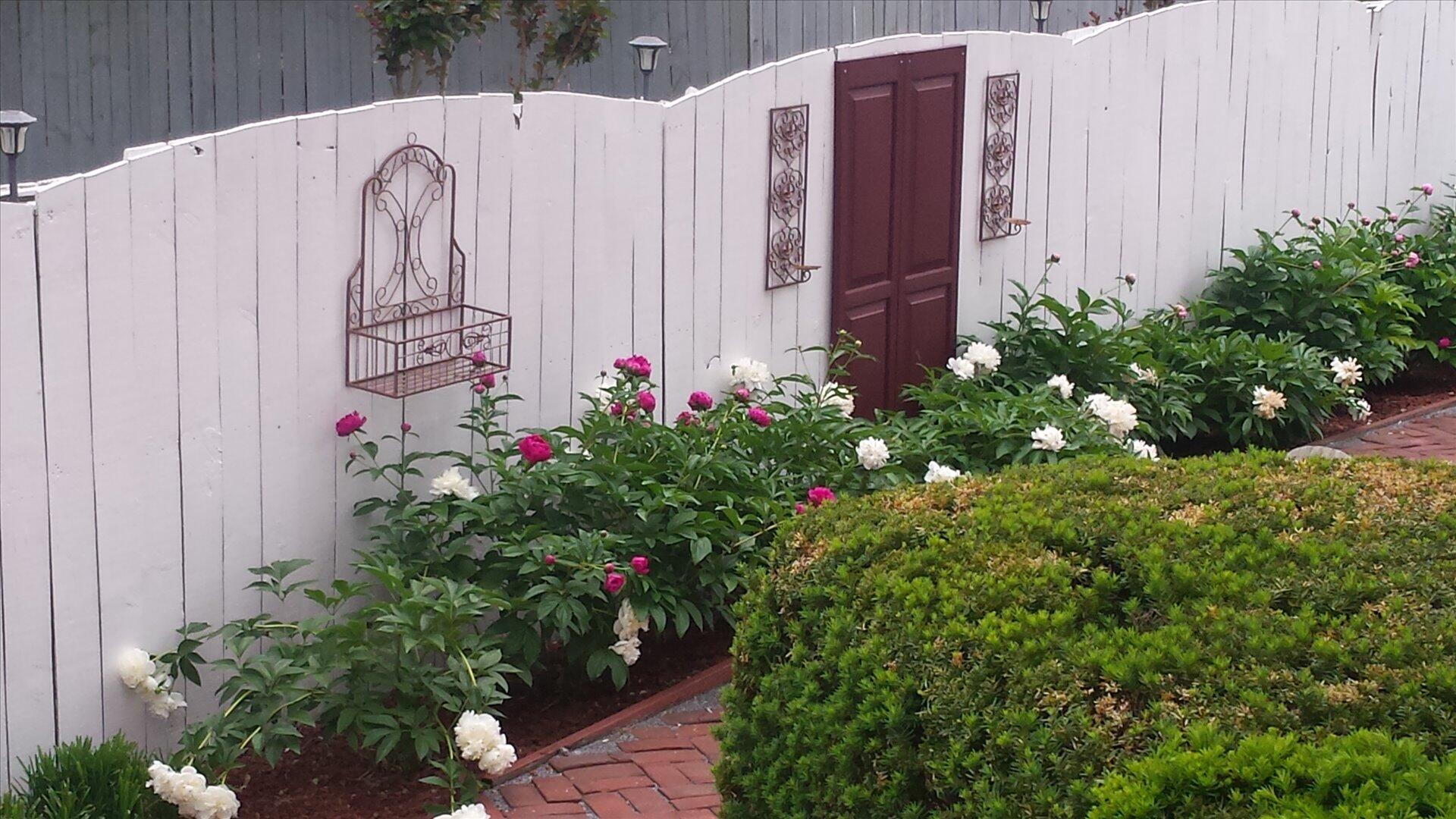 2316 Carter Road Southwest Roanoke, VA 24015 - Photo 56 of 63 56-8.5-Peony garden