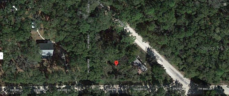 8089 Southwest 80th Trail Trenton, FL 32693 - Photo 6 of 7