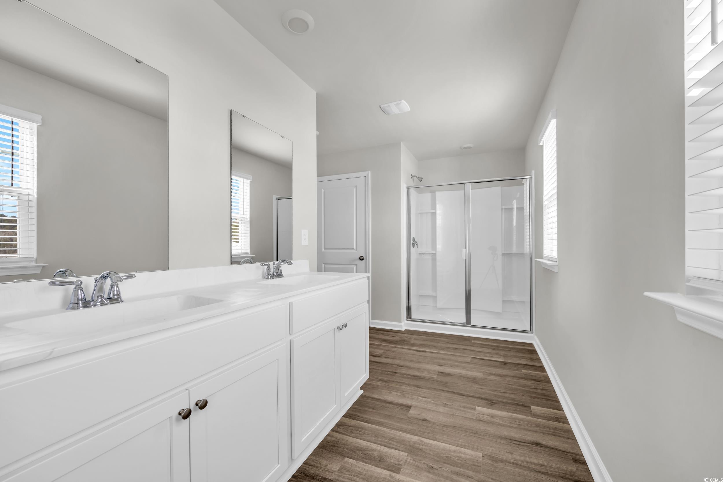 545 Goldstar Street Conway, SC 29526 - Photo 20 of 37 Bathroom featuring wood-type flooring, plenty of n